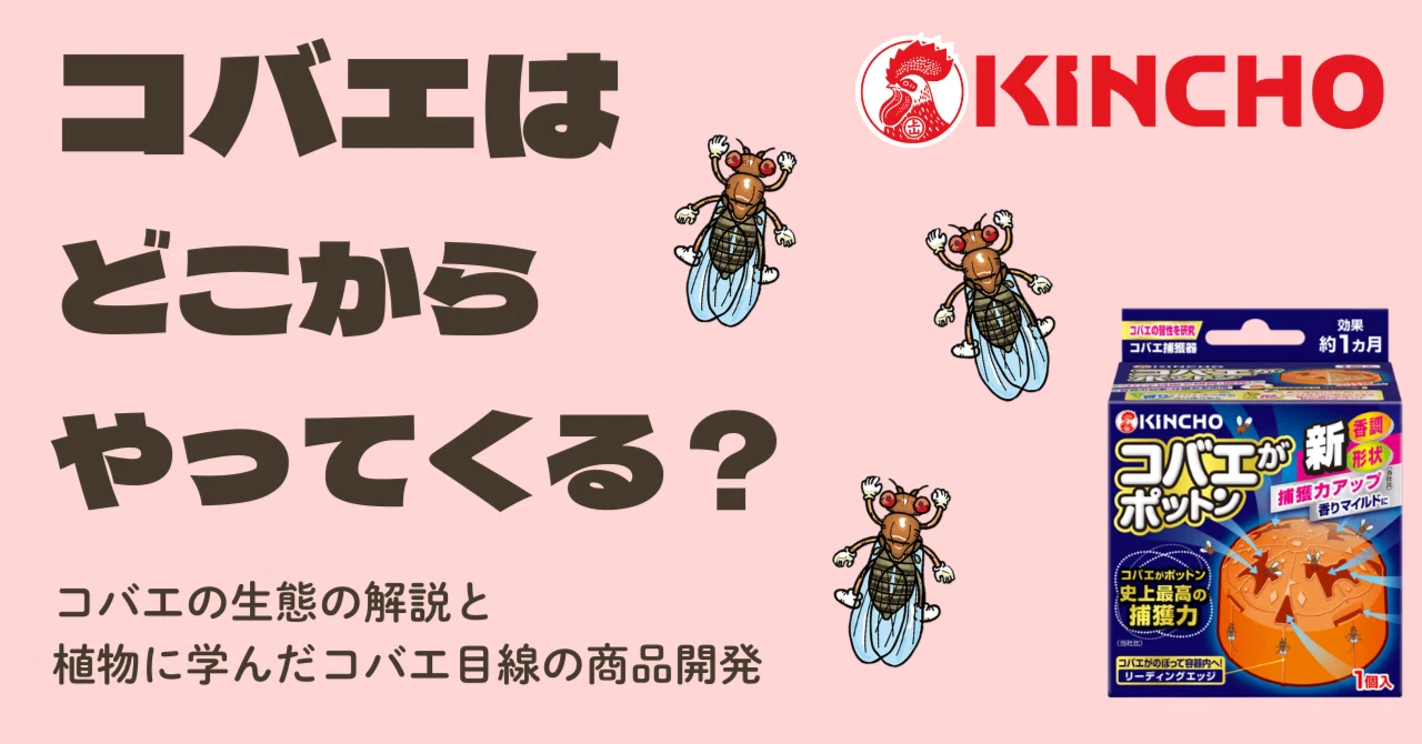 コバエ どこから くる