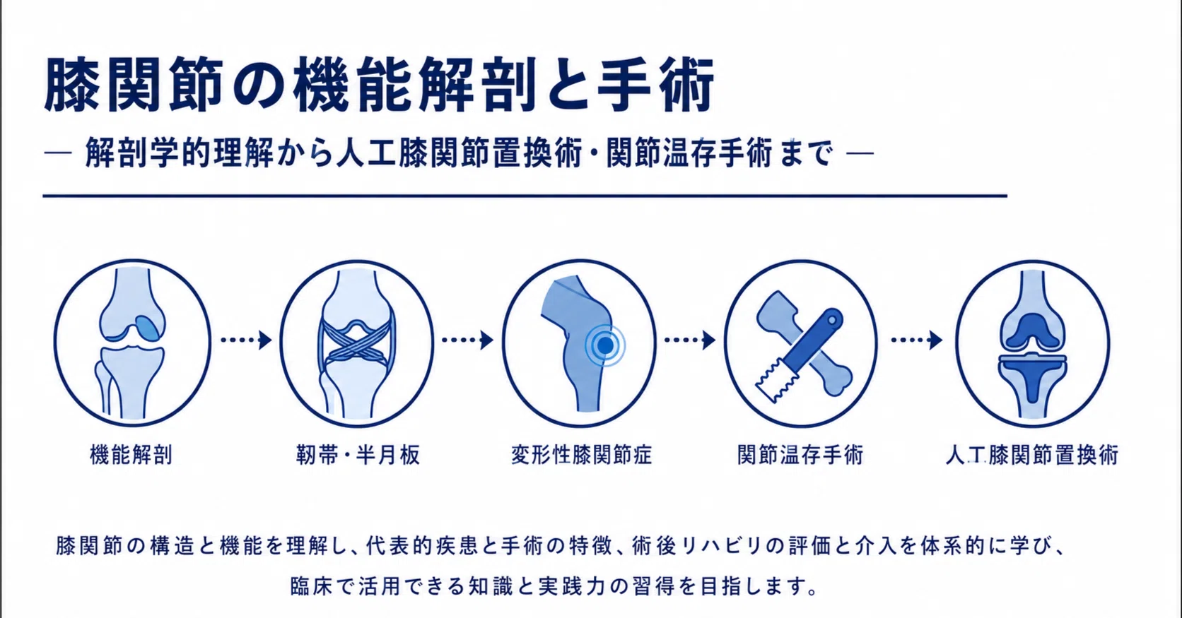 理学療法士・医療従事者向け】膝関節の機能解剖と手術完全ガイド｜人工