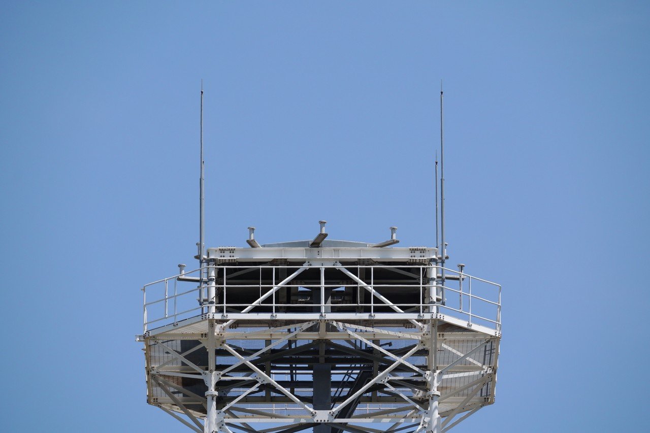 SIGMA 100-400mm F5-6.3 DG DN OS | Contemporaryを試してみました