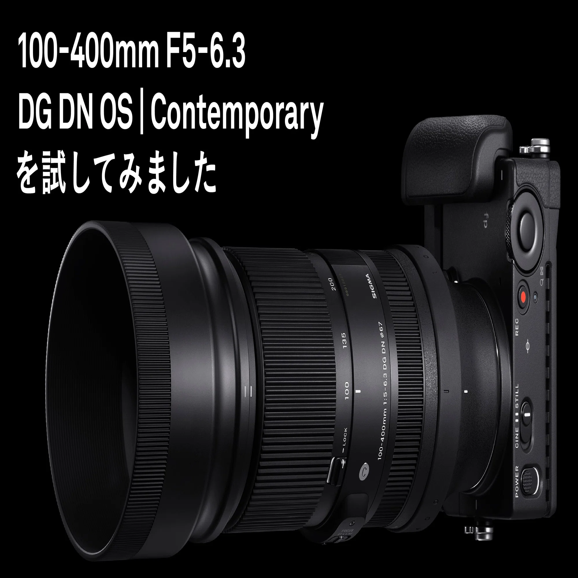 SIGMA 100-400mm F5-6.3 DG DN OS | Contemporaryを試してみました 