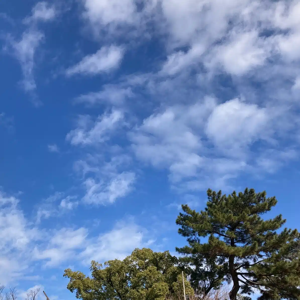 三呂久明美（みろくあけみ）