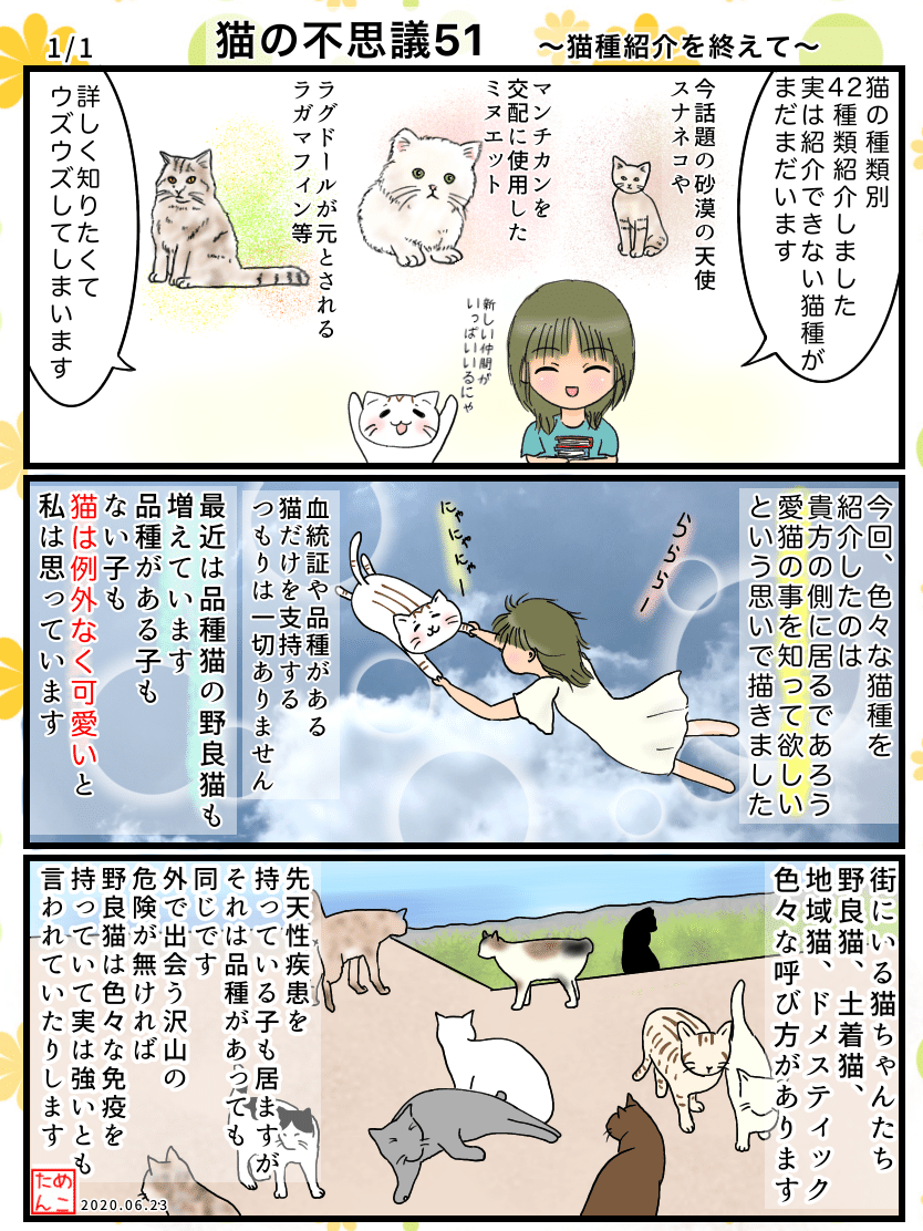 猫の不思議51 猫種紹介を終えて めこたん 漫画 イラスト Note 猫の不思議51 猫種紹介を終えて めこたん 漫画 イラスト Note