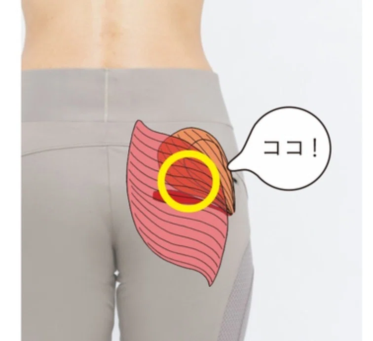 お尻をほぐす効果 実験開始 まる Note