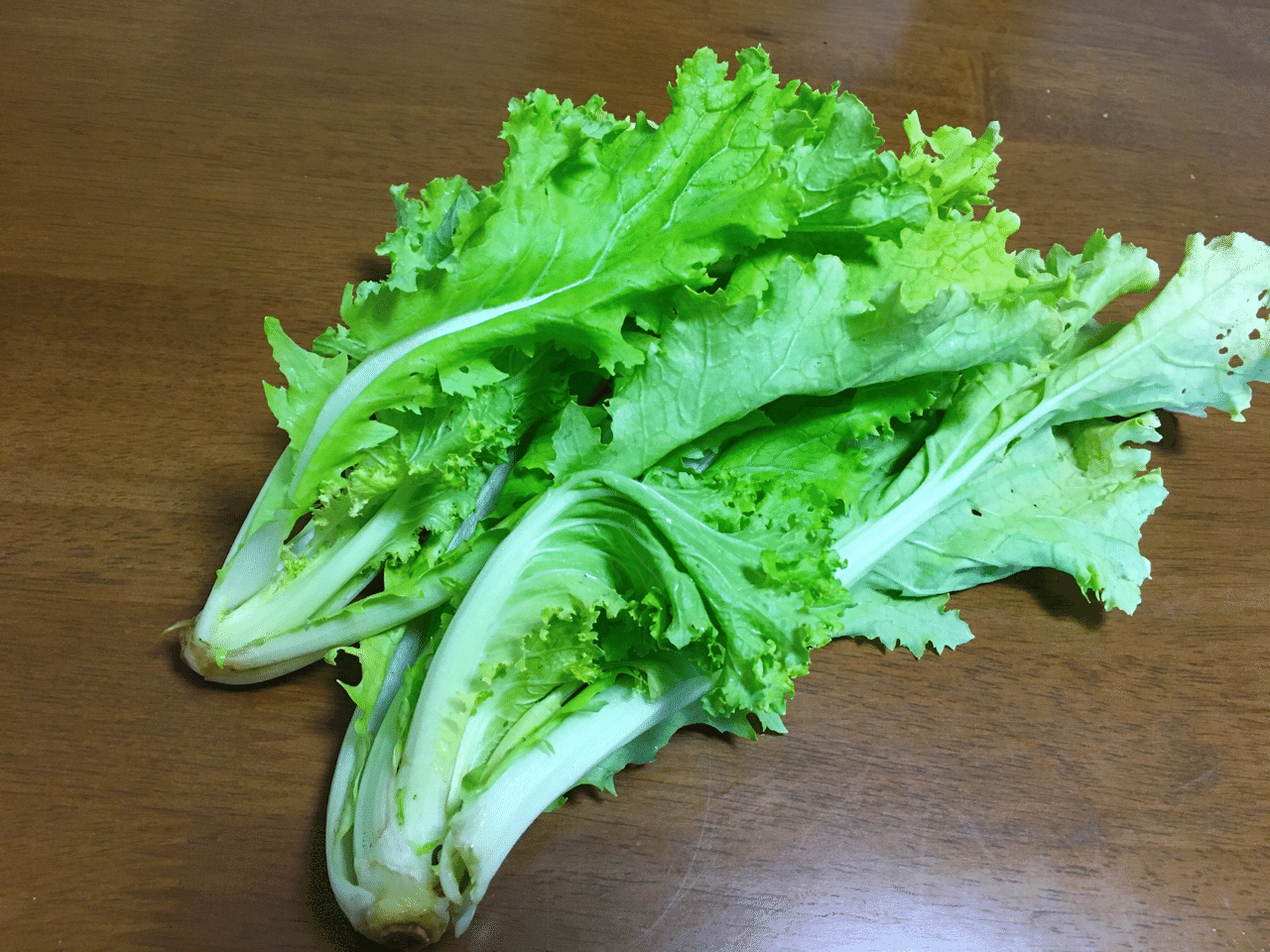 伝統野菜・在来作物」を特集した雑誌が出ました！：