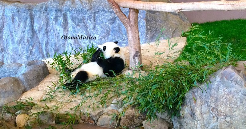 動物の謝肉祭 大人のピアノカーニバル みんなのピアノカーニバル Op 4 Note