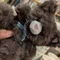 ぼたもち