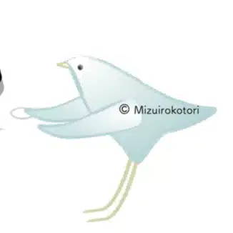 水色ことり　M_K Mizuirokotori