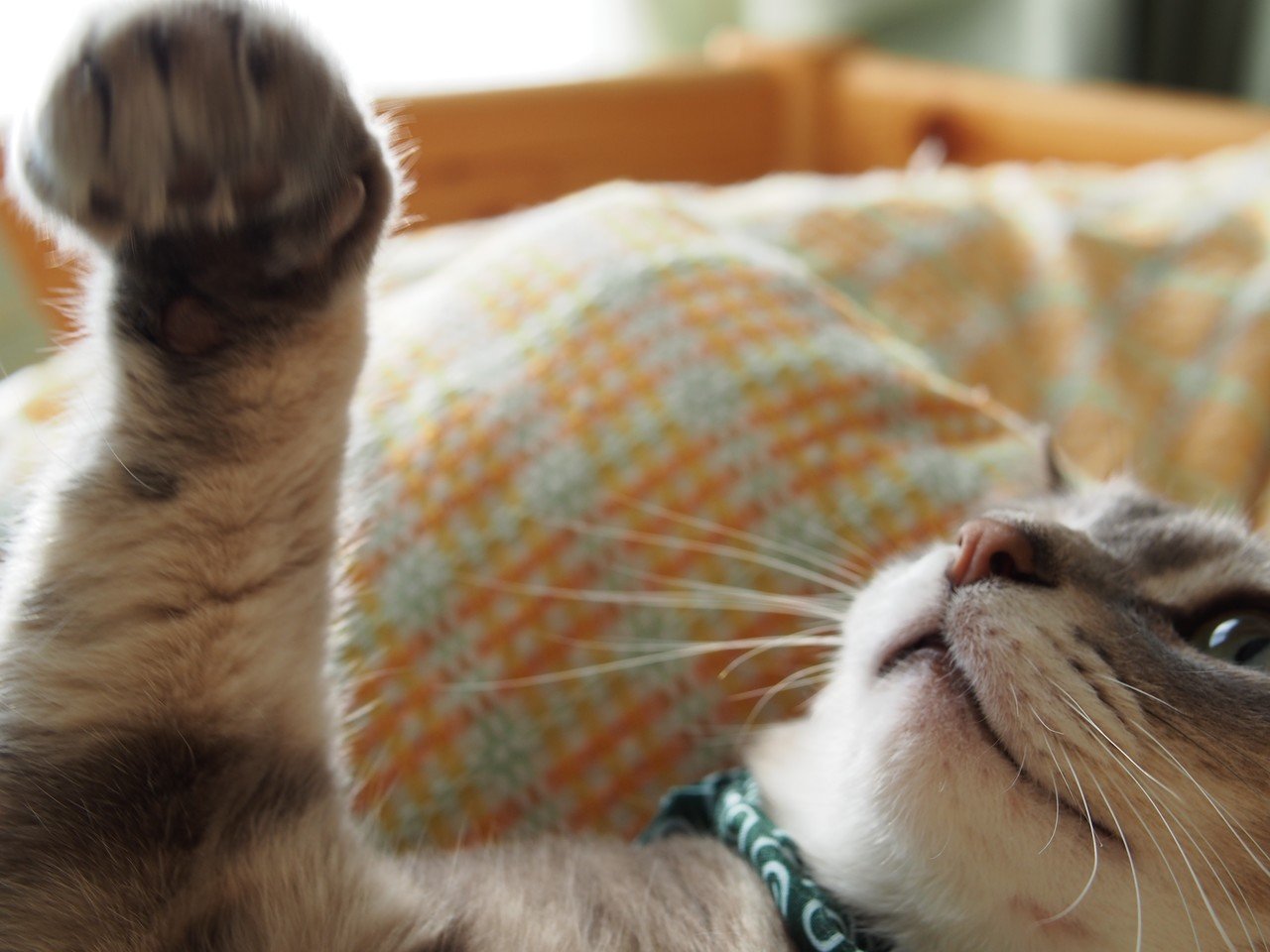 写真が使われてる 夏目 義徳 Note 写真が使われてる 夏目 義徳 Note