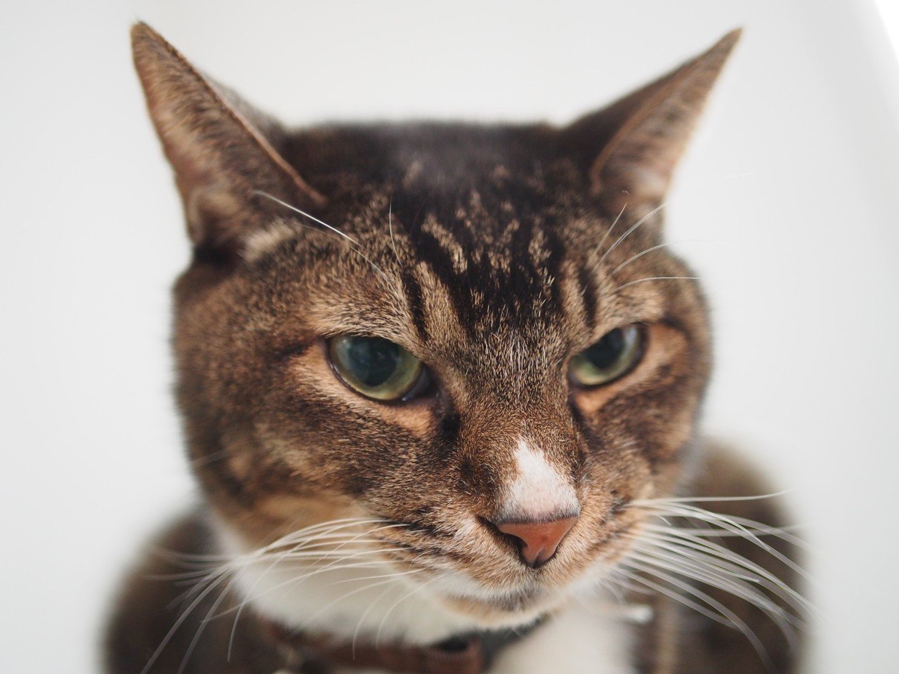 写真が使われてる 夏目 義徳 Note 写真が使われてる 夏目 義徳 Note