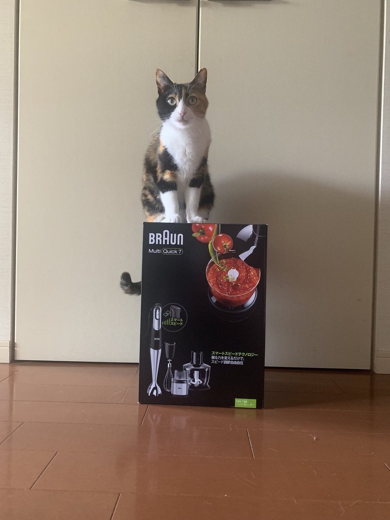 完了しました Domestic 意味 Animal Domestic 意味 完了しました Domestic 意味 Animal Domestic 意味