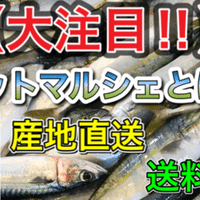 舌が骨⁉️『生きる化石・ピラルク』|宇呂草見