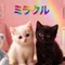 ✨ミラクル✨アラフォー主婦のAIとコスメと副業のお話☺️