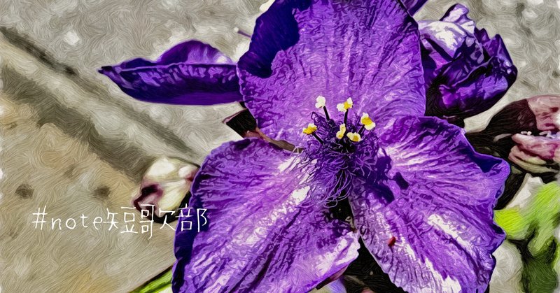 6月23日 誕生花は紫露草 Note短歌部 御子柴 流歌 Note 6月23日 誕生花は紫露草 Note短歌部 御子柴 流歌 Note