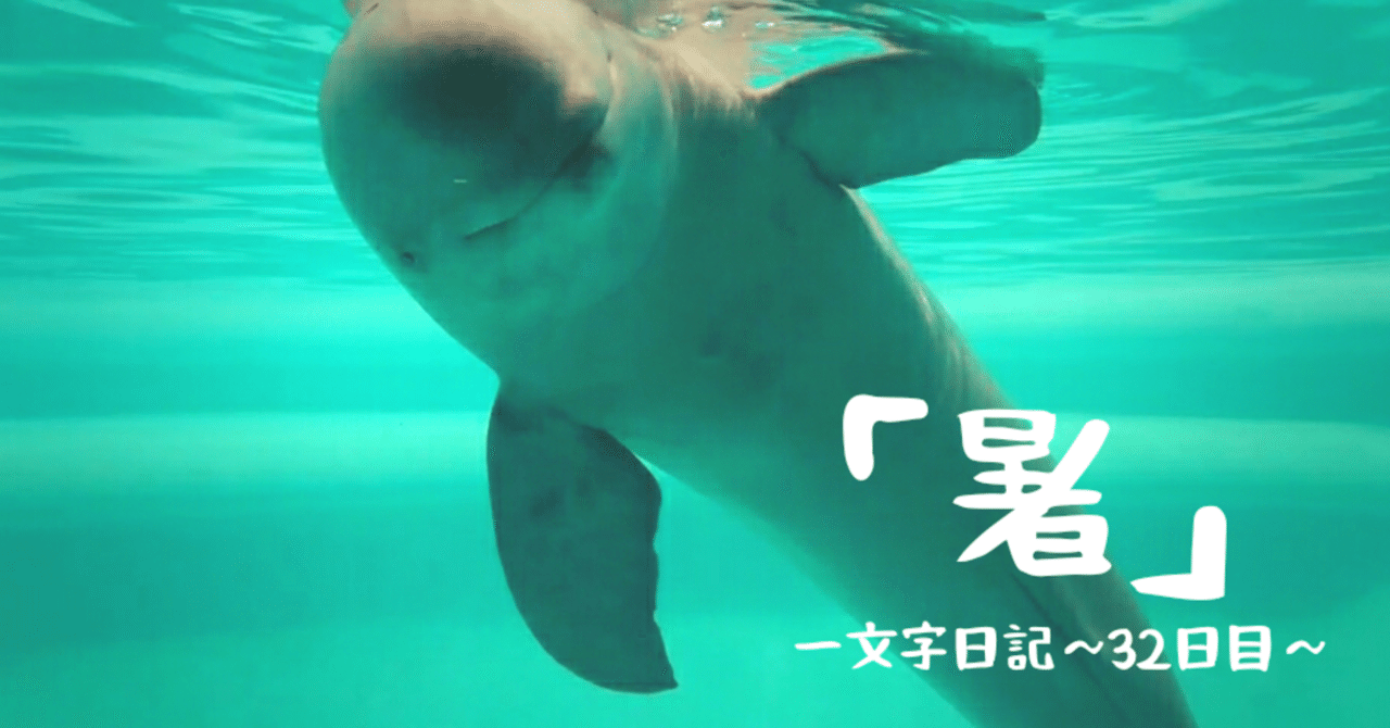 暑 一文字日記 32日目 いきもの画家 Poppo Note