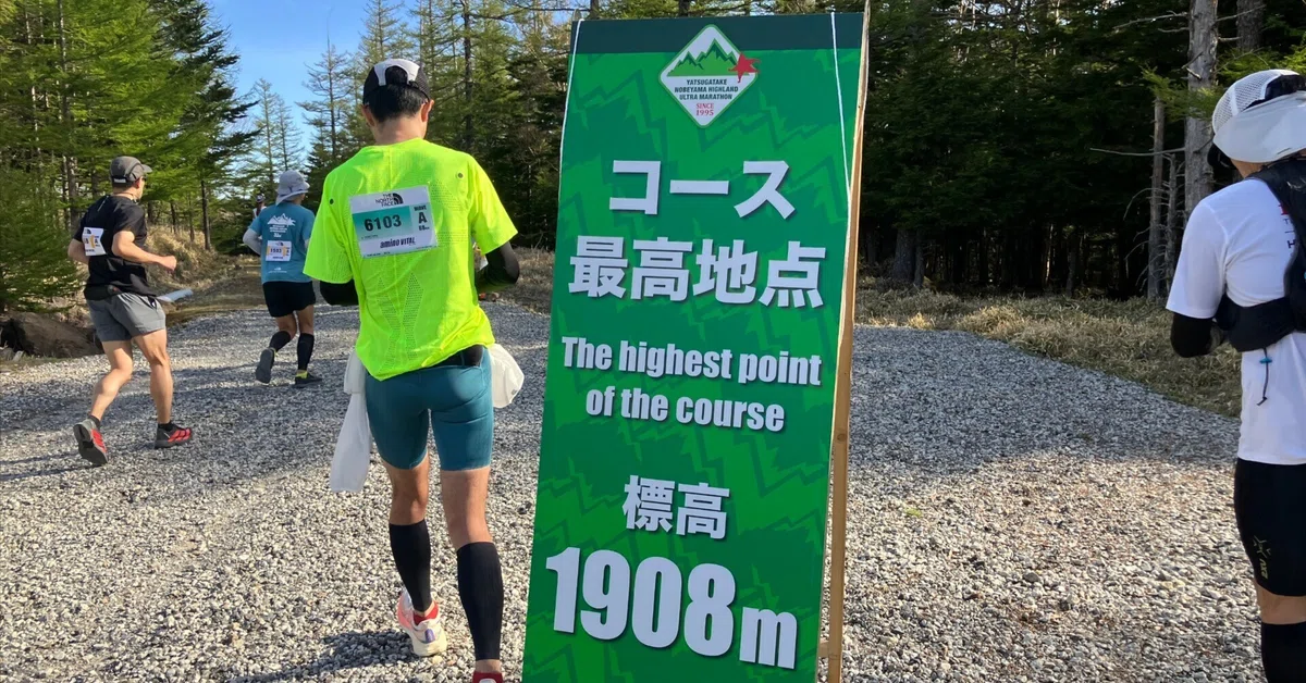 공략의 핵심은 오르막…이 아니었다![노베야마 100km 울트라 마라톤 '26]｜Transit Notes