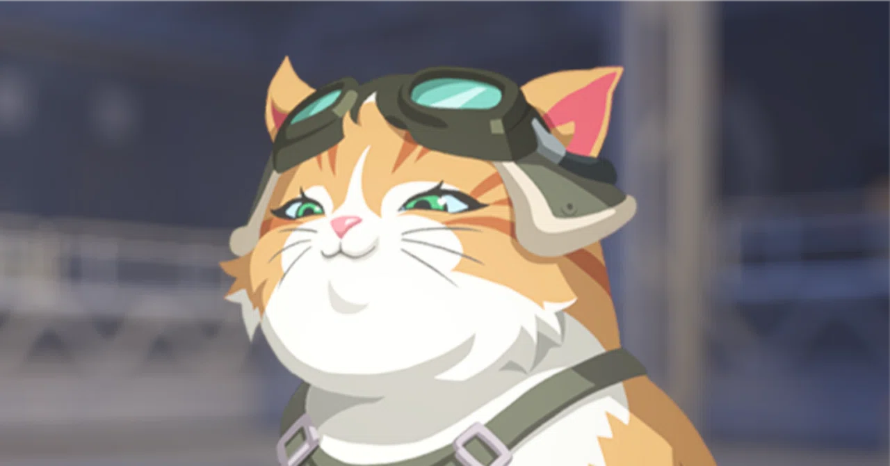 猫兎 ZETA Viol2t猫 の使い方がスゴイ！猫は単体でも強い‼｜ずん〇オーバー