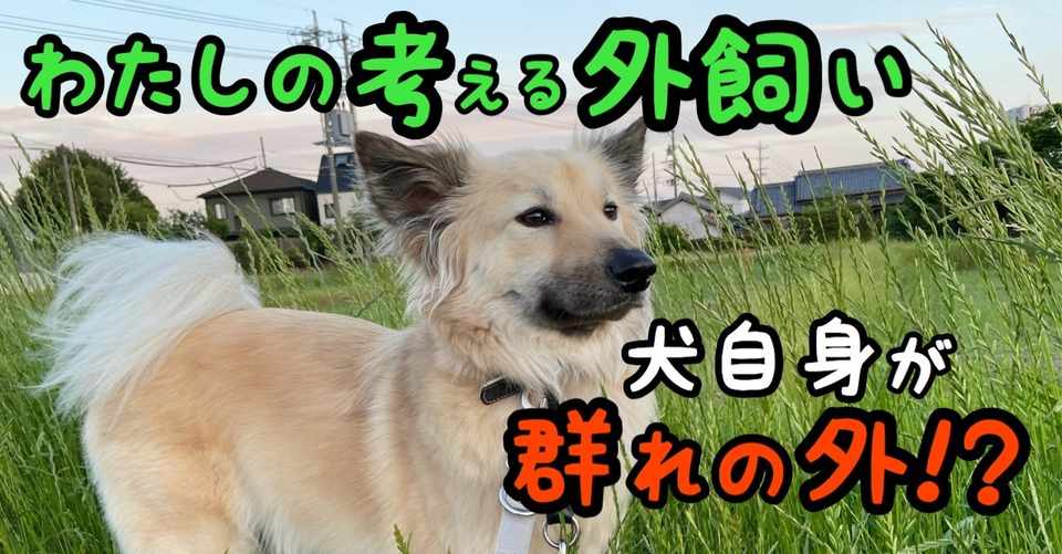 わたしの考える犬の外飼い わんちゃん自身が群れの外 ドッグライフサポーター 獅子パパ Note