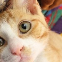 頭が柔らかい人の特徴はこれだった こしあん Note