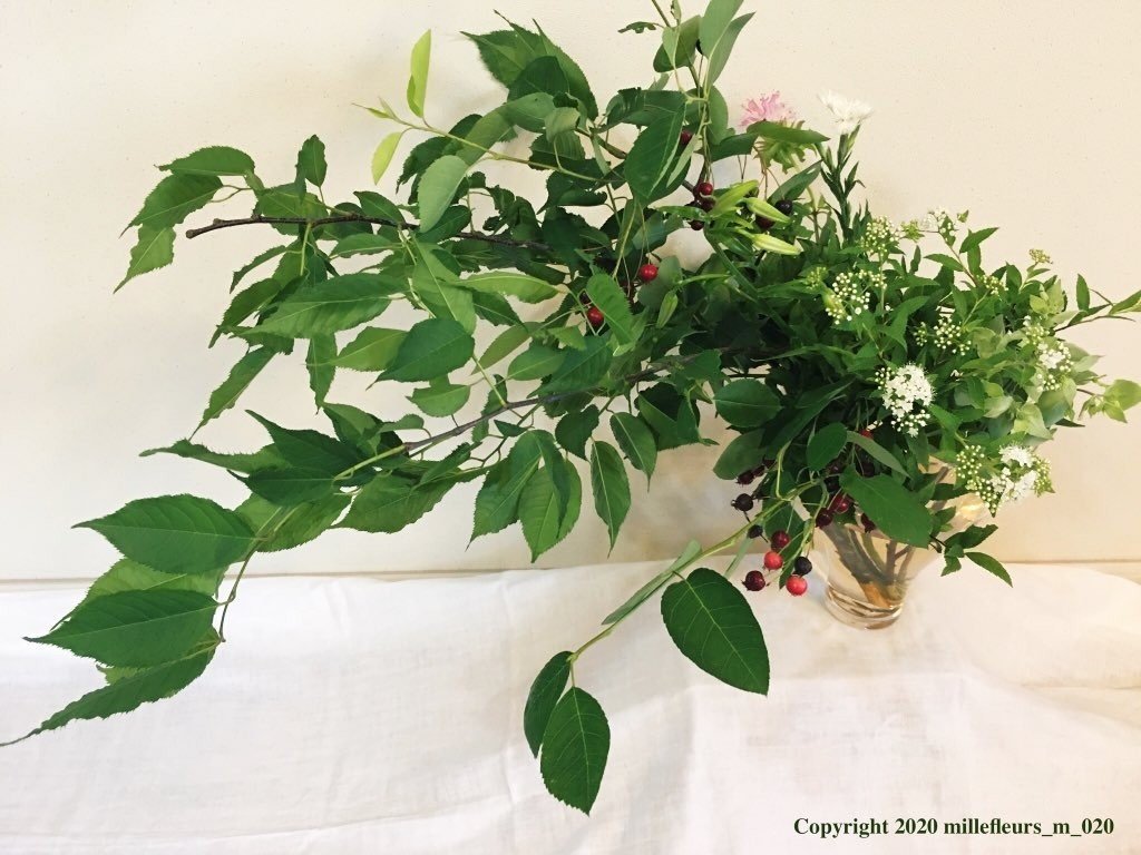 Time Amp Style のガラスの花器に ウワズミザクラ ジューンベリー マウンテンミントなどを この季節の草花の命はとても短くて 午前中に上げた水が午後にはさがって 翌日には土に還る姿になっている 千花物語 Note Time Amp Style のガラスの花器に ウワズミザクラ ジューンベリー マウンテンミントなどを この季節の草花の命はとても短くて 午前中に上げた水が午後にはさがって 翌日には土に還る姿になっている 千花物語 Note