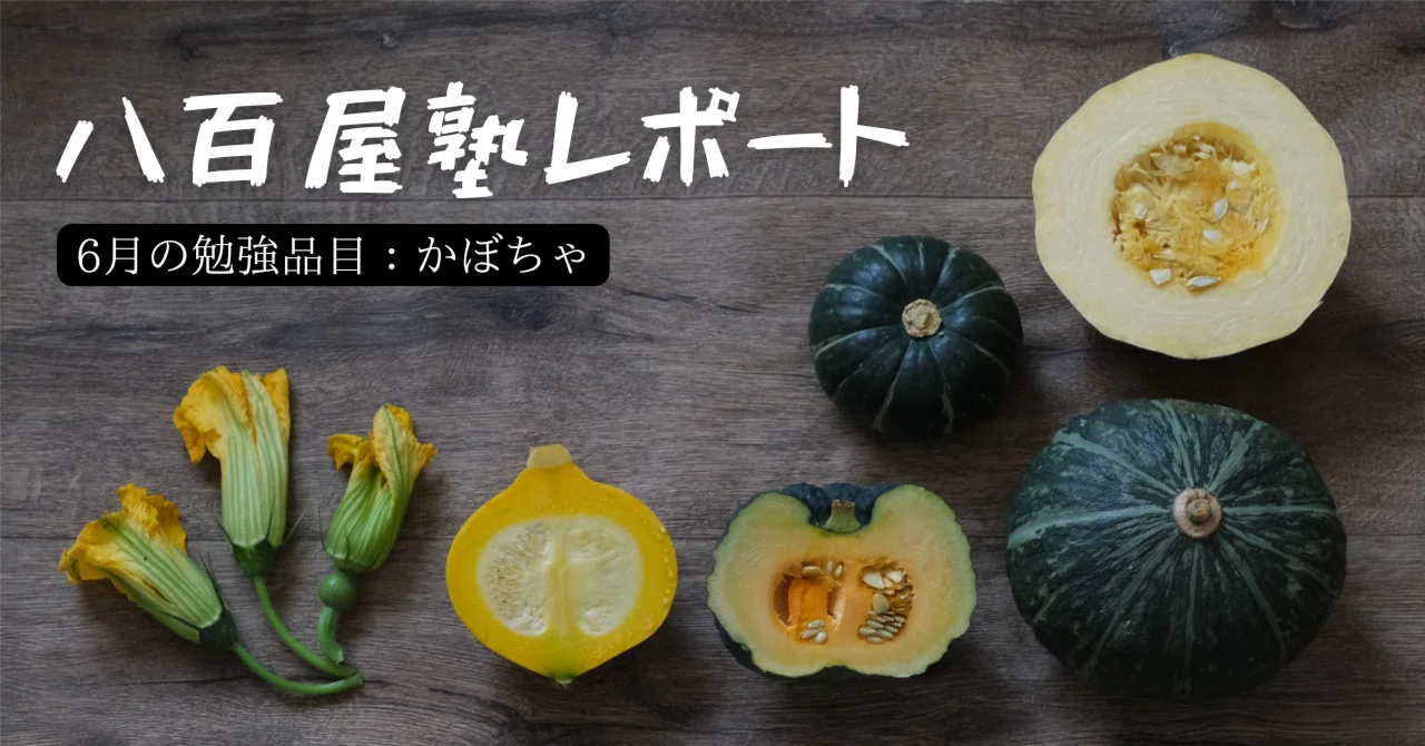 八百屋塾レポート】 勉強品目：かぼちゃ（2026/6/21開催）｜八百屋塾
