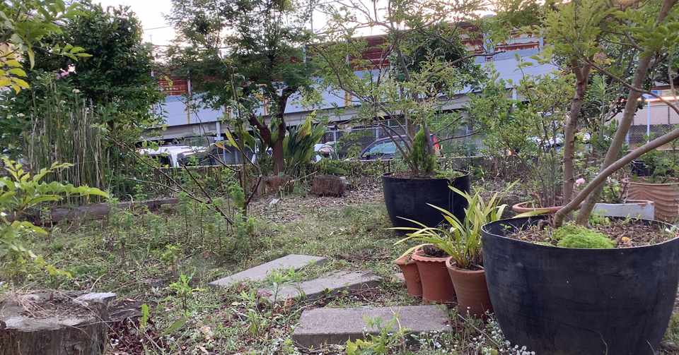 庭仕事を手伝ってもらいました デイジールーシー Note