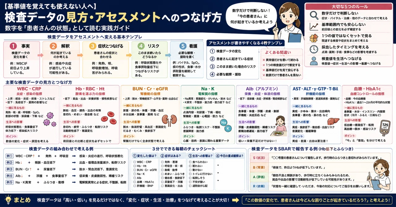 基準値を覚えても書けない人へ】看護実習で使える｜検査データの見方