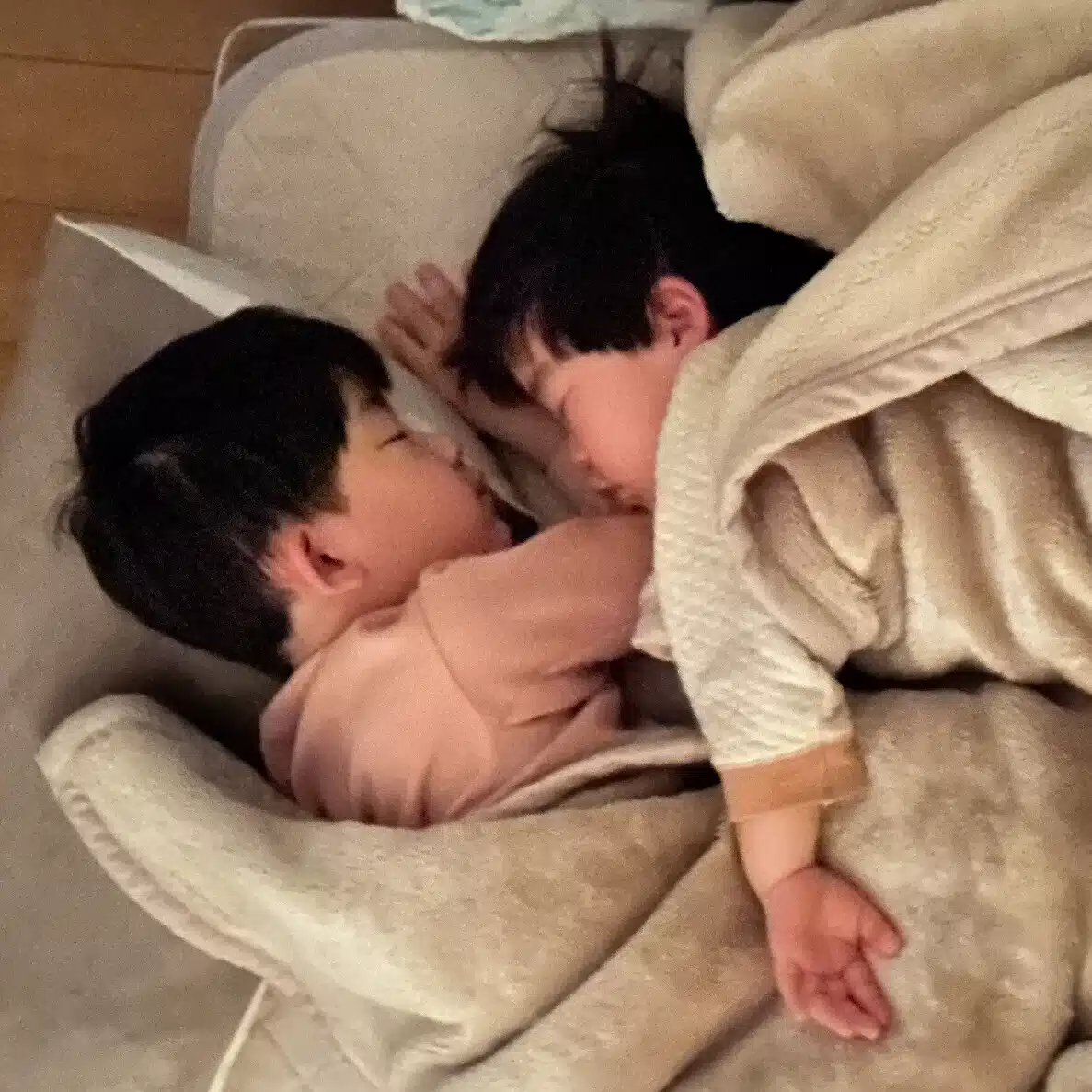 菅原健太郎