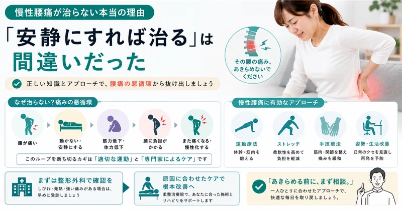 慢性腰痛が治らない本当の理由。「安静にすれば治る」は間違いだった【横浜・磯子区・杉田】