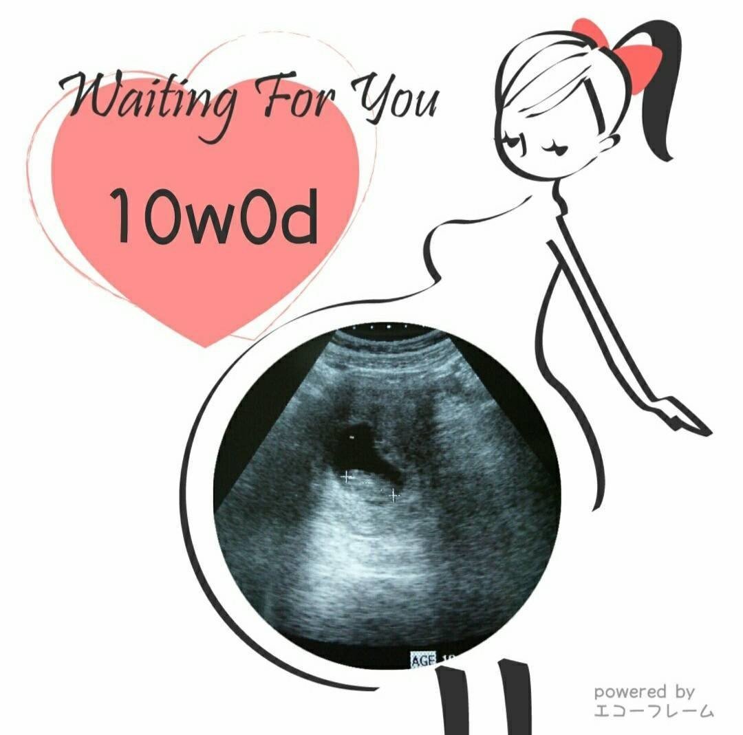 妊娠3ヶ月 8 11 Weeks Pregnant Manalink Note 妊娠3ヶ月 8 11 Weeks Pregnant Manalink Note