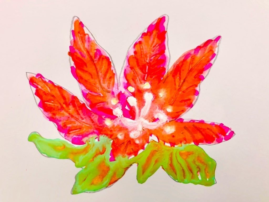 南国の花 Beau Note 南国の花 Beau Note