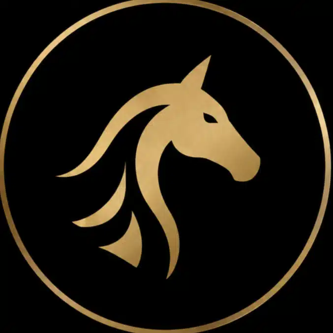 無相の競馬