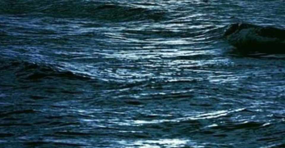 文章は夜の水面のように 水浦詞葉 Note