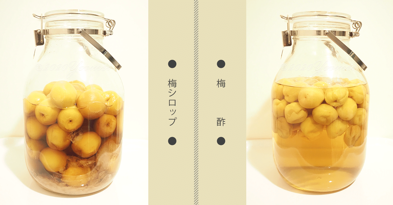 梅汁ファーストの梅work 4 梅汁 飲み放題計画 Yoooko Sun 考えるをデザインする Note