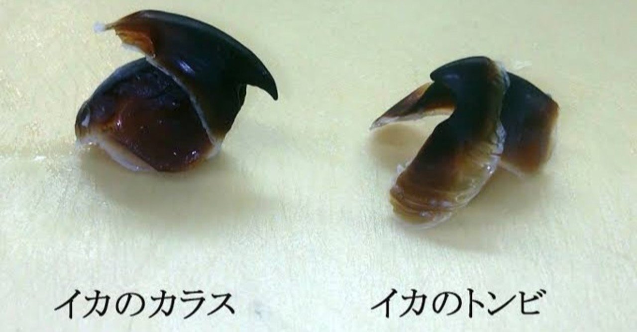 第1105回 黒けりゃカラス 翆野 大地 Note 第1105回 黒けりゃカラス 翆野 大地 Note