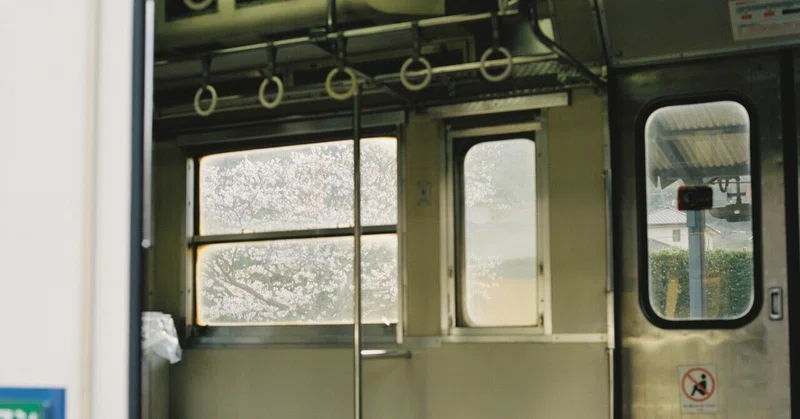 【旅の記憶#13】電車と桜 | TRACE