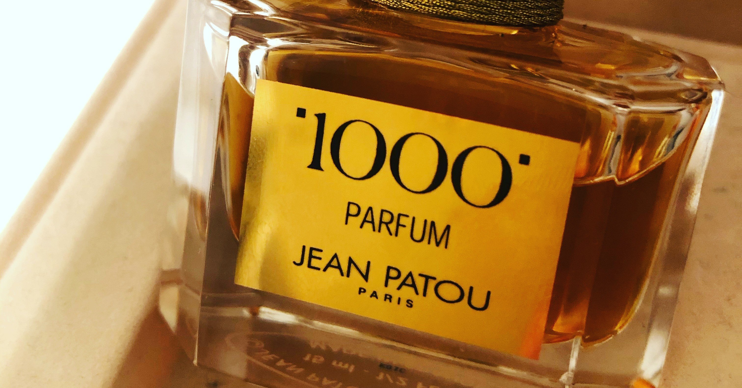 1000個の思い出の1つ｜Yuta Watanabe | 渡辺裕太