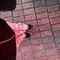 ももも｜不安障害一人暮らし働く30代女の日常記録