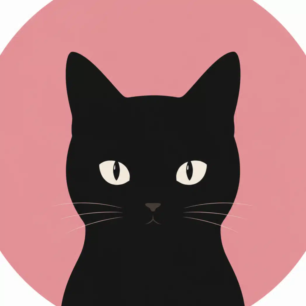 二毛猫