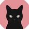 二毛猫