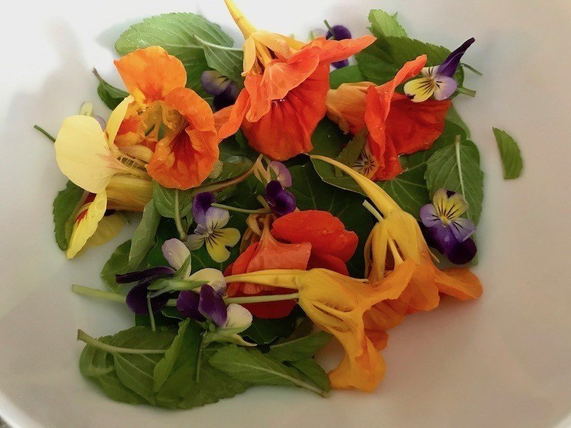 安定の華やかさ 美味しさ ナスタチウム 金蓮花 ヒガシリカ Note 安定の華やかさ 美味しさ ナスタチウム 金蓮花 ヒガシリカ Note