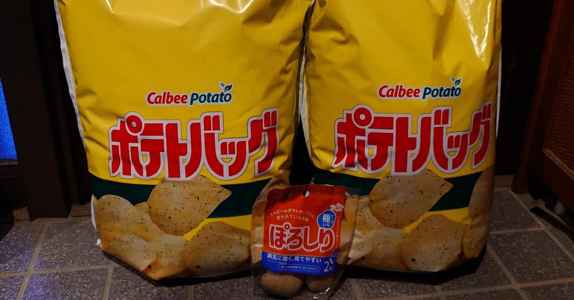 ポテトバッグ甲子園2026の庭いじり奮戦記｜たくりん＠多治見の人