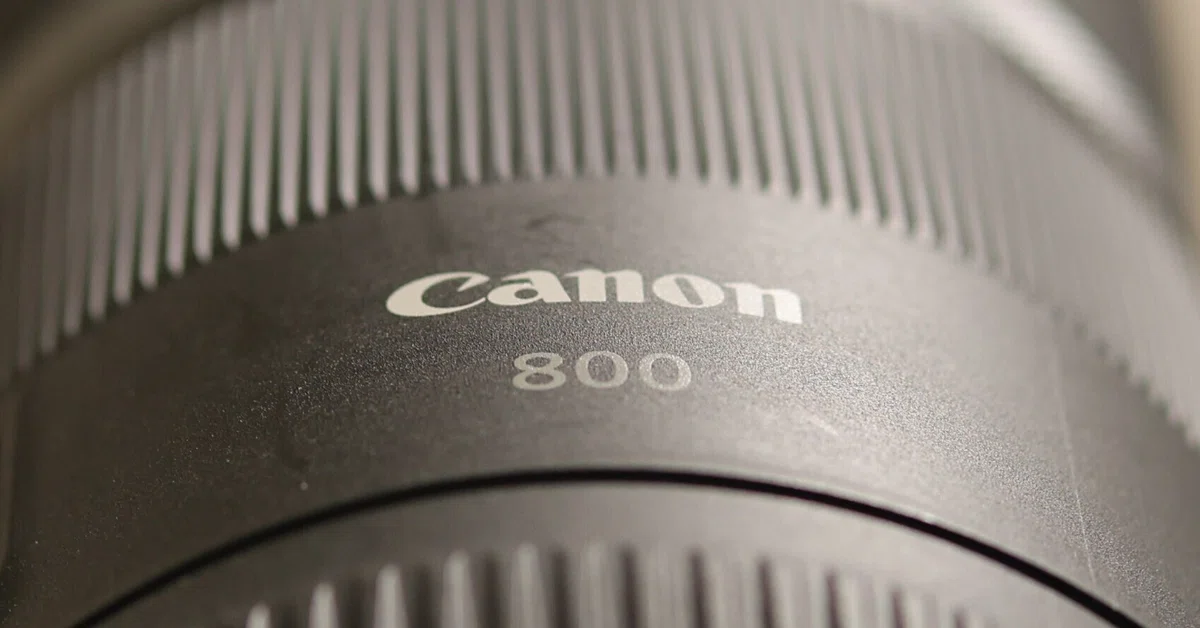 覚悟の1本 RF800mm F11 IS STM｜大佐藤