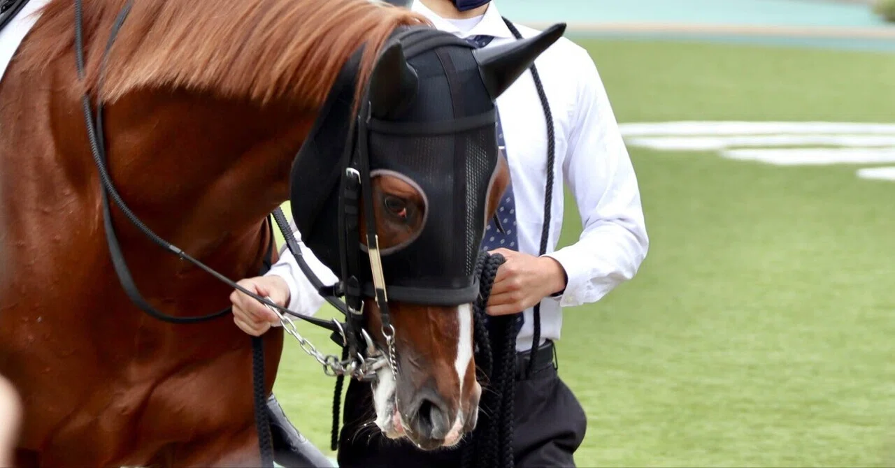 POG】コントレイル種牡馬評【メモ】｜かじお