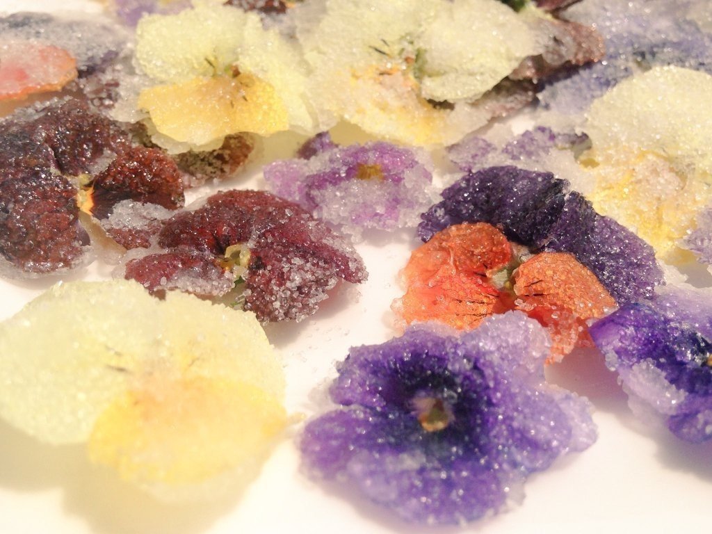 渡邊の花の砂糖漬けのつくりかた 渡邊 春菜 Note 渡邊の花の砂糖漬けのつくりかた 渡邊 春菜 Note