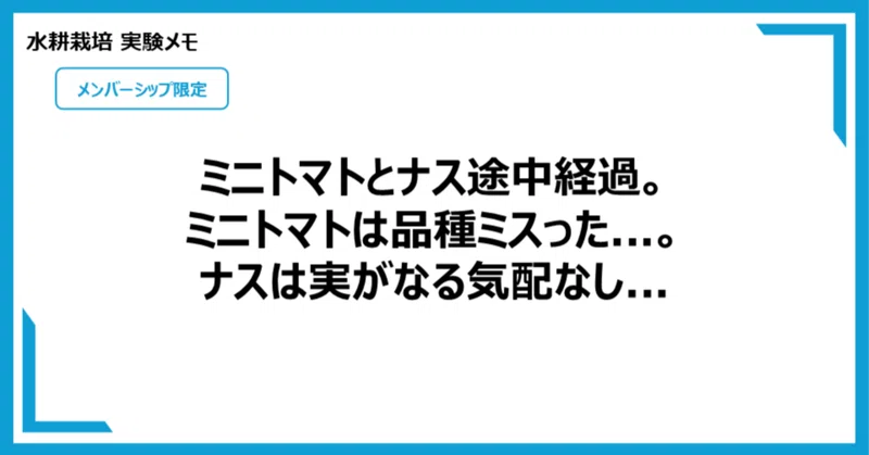 【メン限：水耕栽培】ミニトマトとナス途中経過。ミニトマトは品種ミスった...。ナスは実がなる気配なし...