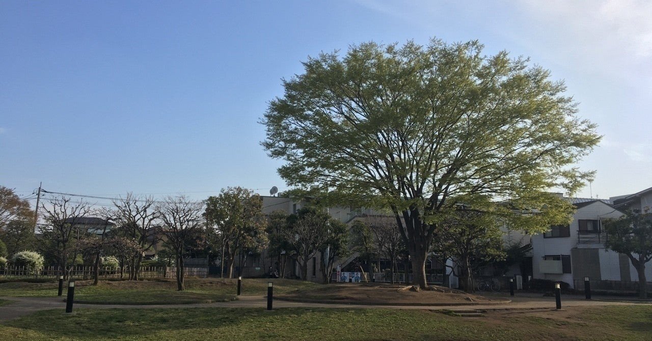 住んで良し 魅力溢れる元住吉 たっぴー Note