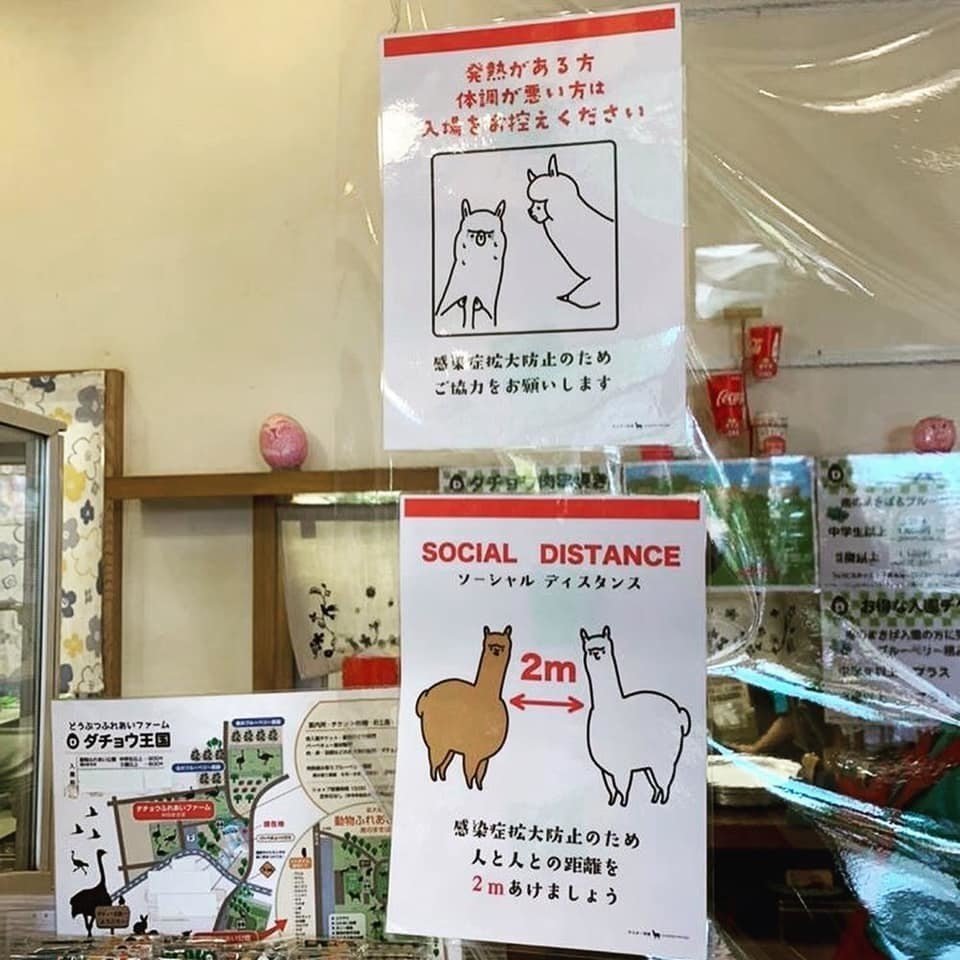 感染症拡大防止アルパカポスターを無料配布中です なめみそ Sunokko Design Note