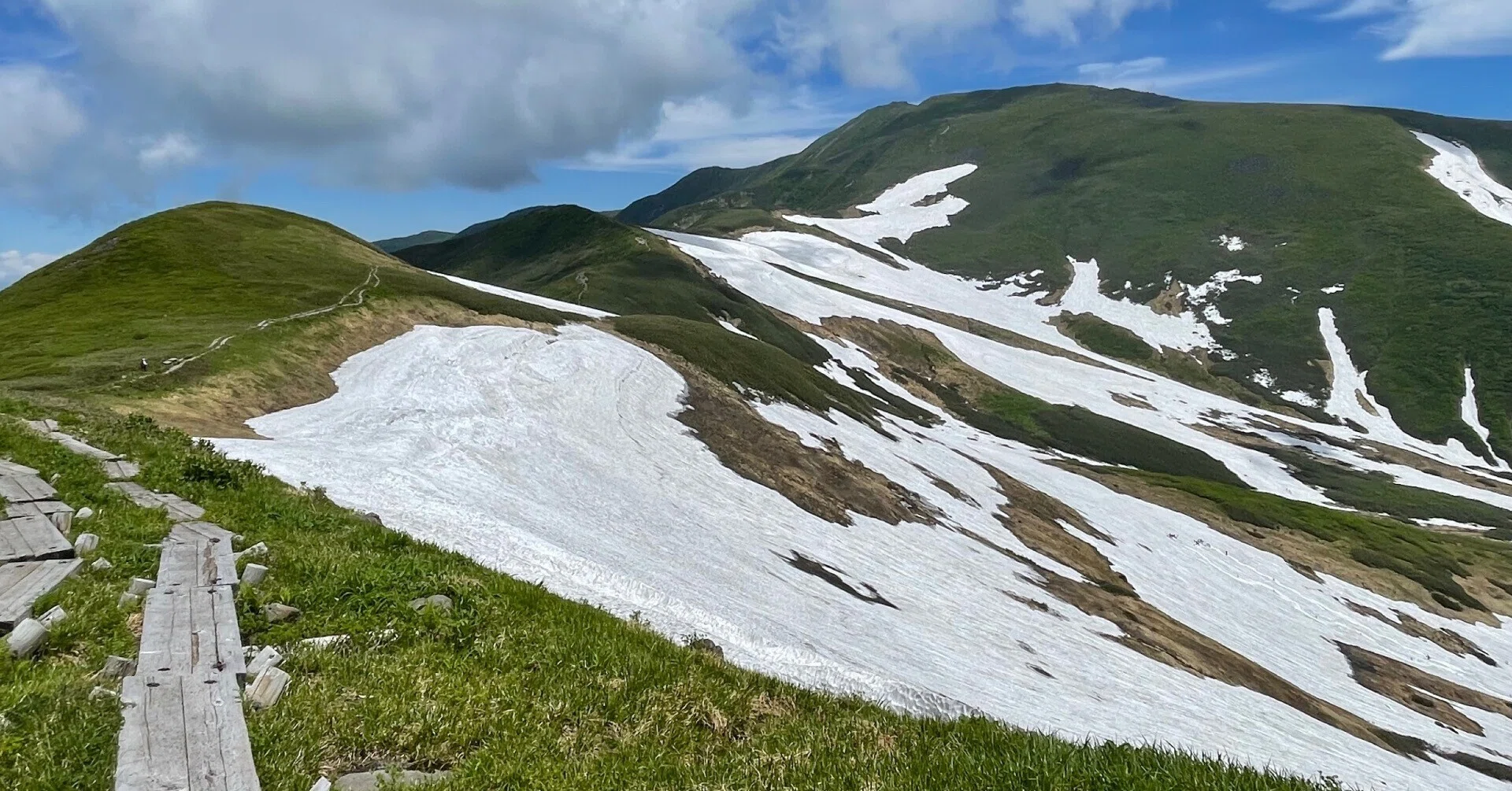 残雪と高山植物満開・月山｜ニシノトシコ