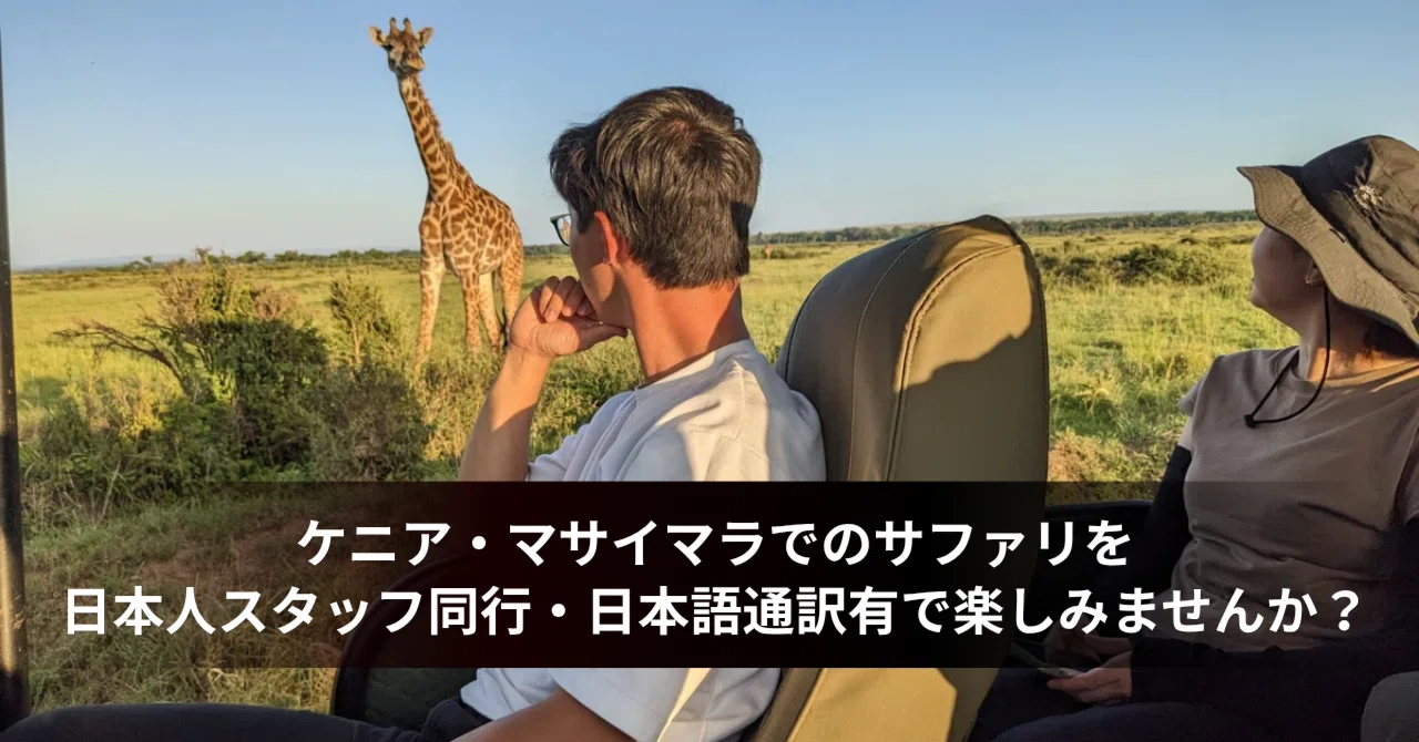 ケニア・マサイマラでのサファリを日本人スタッフ同行・日本語通訳で