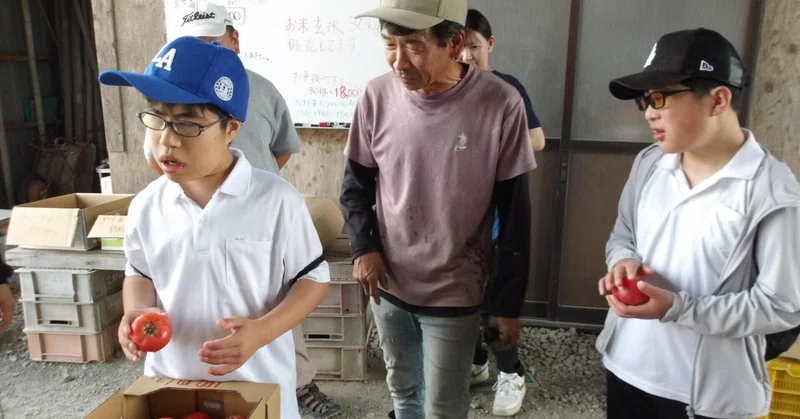 【和歌山盲】「見る」だけではない野菜選び～触って、比べて、選ぶ。中学部１年生の校外学習